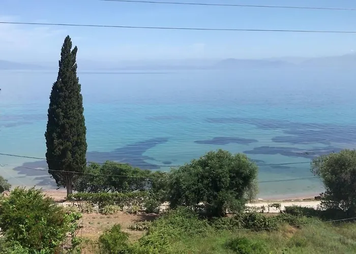 Aliki Studios