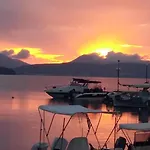 Aliki