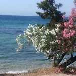 Aliki